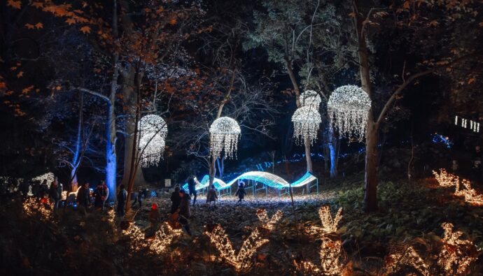 Magiczny Botaniczny
